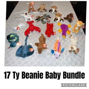 Ty Beanie Baby Bundle
